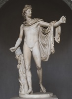 407-6823 IT - Roma - Vatican Museum - Apollo Belvedere 2 Century AD