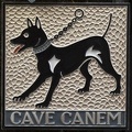 407-8422 IT - Orvieto - Cave Canem