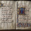 408-1843 IT - Siena - Duomo Santa Maria Assunta - Piccolomini Library