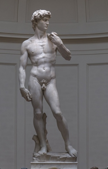 408-2321 IT - Firenze - Galleria dell'Accademia - Michelangelo - David 1501-04.jpg