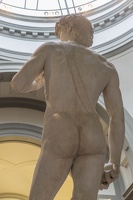 408-2461 IT - Firenze - Galleria dell'Accademia - Michelangelo - David 1501-04