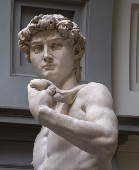 408-2530 IT - Firenze - Galleria dell'Accademia - Michelangelo - David 1501-04 (detail) .jpg