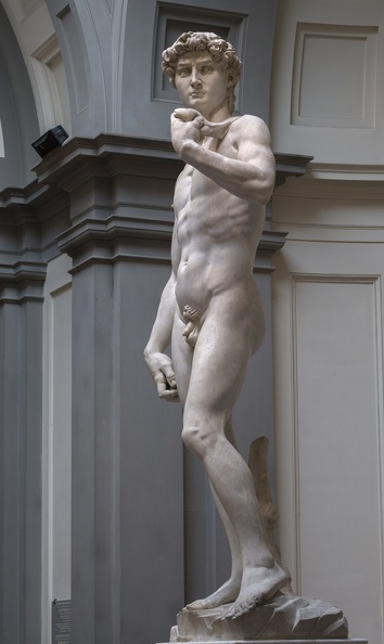 408-2542 IT - Firenze - Galleria dell'Accademia - Michelangelo - David 1501-04.jpg