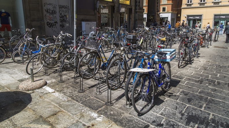 408-8083 IT- Bologna - Bicycles.jpg