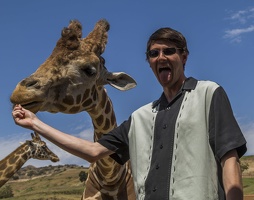 408-9031 Safari Park - Feeding Giraffe - Casey