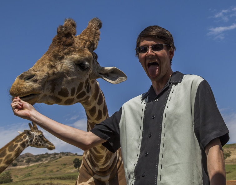 408-9031 Safari Park - Feeding Giraffe - Casey.jpg