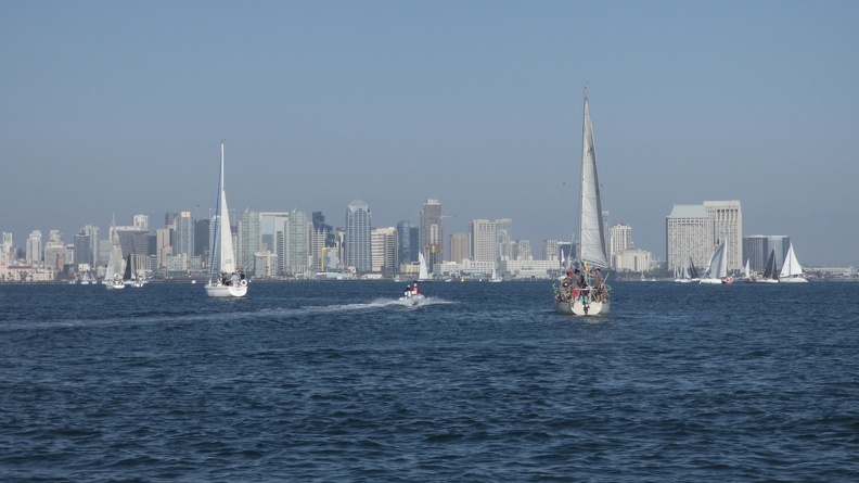 205-1688 San Diego Sailing - Sailboats and Skyline.jpg