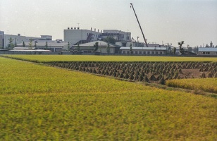 141-06A 198610 Japan Rice Field and Factory