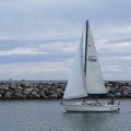 413-4735 Dana Point Harbor Sailboat
